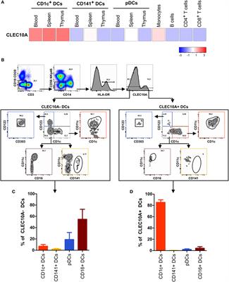 CLEC10A Is a Specific Marker for Human CD1c+ Dendritic Cells and Enhances Their Toll-Like Receptor 7/8-Induced Cytokine Secretion